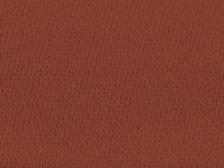 zoom colori SATIN CYRANO II M1 écureuil, marron